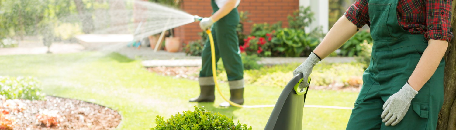 Perfect garden in progress